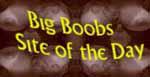 Big Boobs Site of the Day