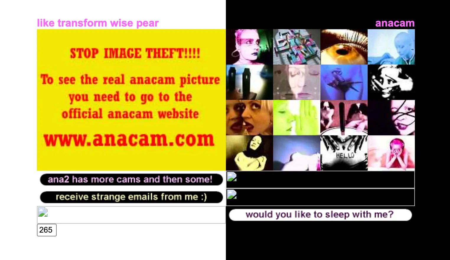 In an early web screenshot, an anti-theft banner sits next to a colorful photo grid depicting abstracted details of a woman's face and body