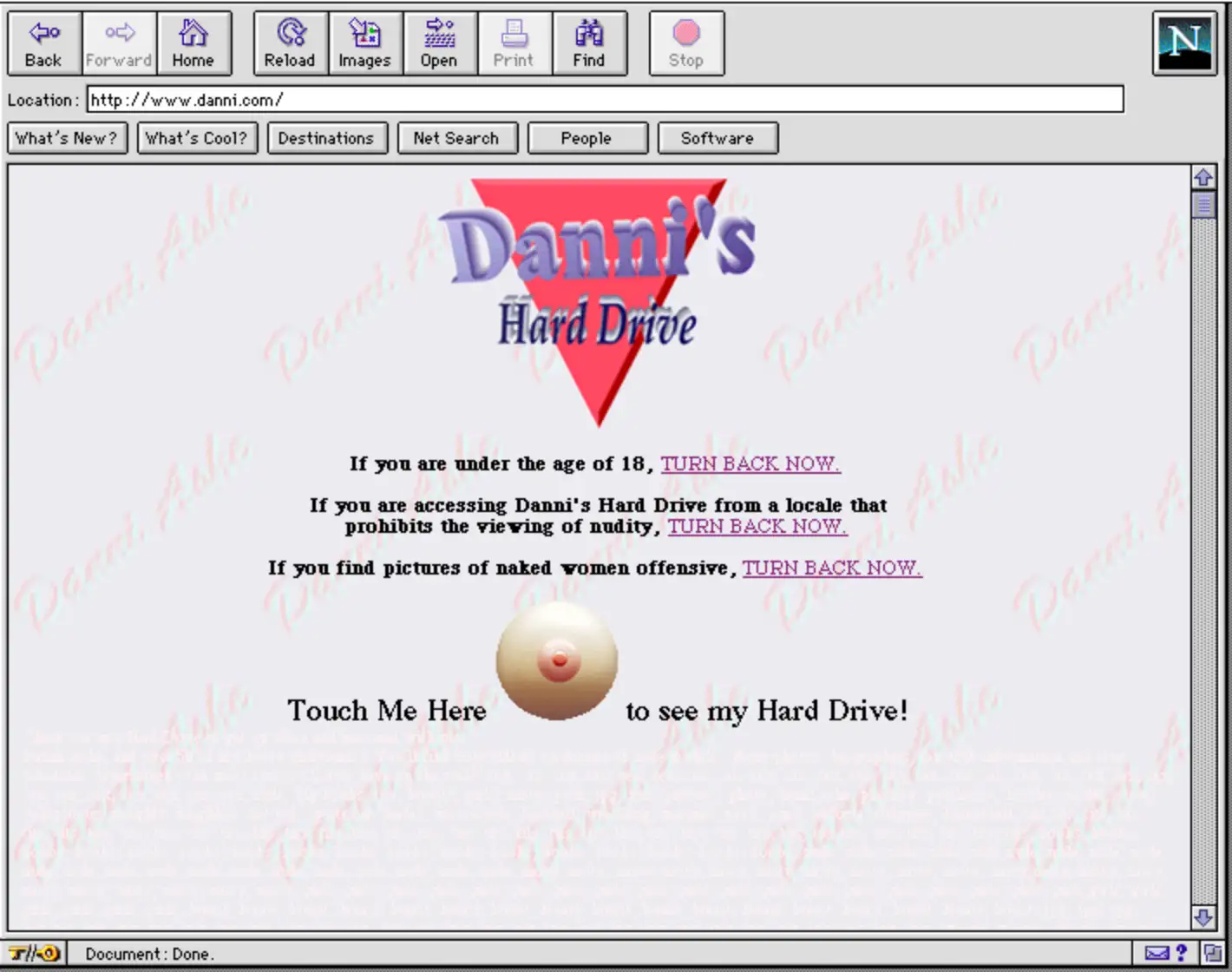 In a screenshot of an early website, a "Danni's Hard Drive" logo expands from a pink triangle, and the line "Touch me here to see my hard drive" includes a button shaped like a cartoonish breast