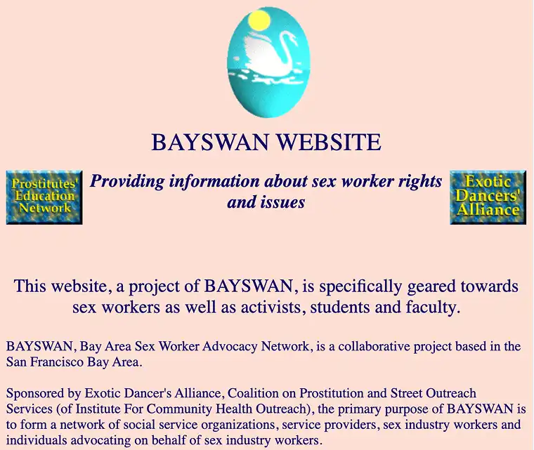 On a peach background, a bright, pastel drawing of a swan in an oval shape sits above the title "BAYSWAN WEBSITE"